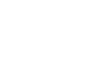Detroitj Lakes Hockey Association